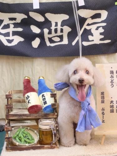 20240628ロンくん